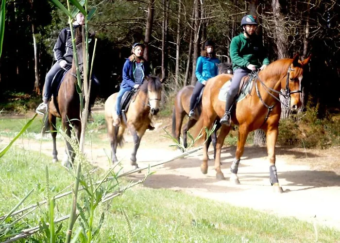 אכסניה The Maverick Surfvillas